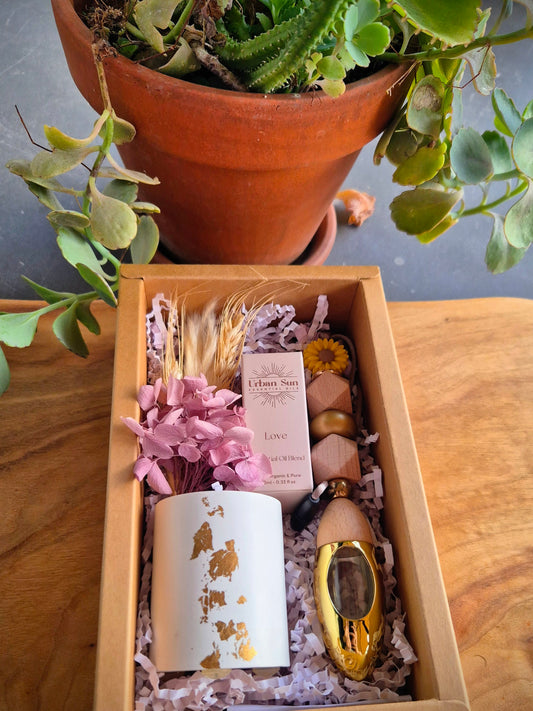 Gift box- hanging oil diffuser, oil & posie vase